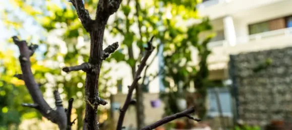 Adosado de 3 dormitorios en Ludwigshafen am Rhein, Germany No. 337308 15