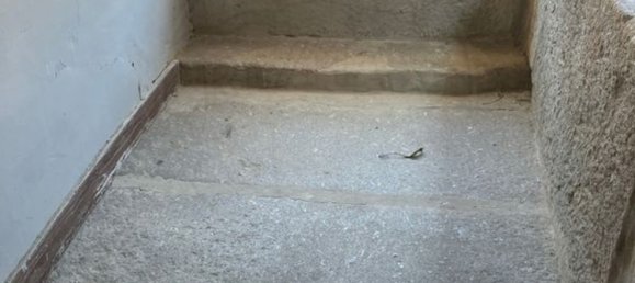 Studio in Pinhel, Portugal No. 174887 4