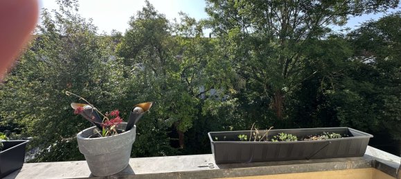 2 bedrooms Apartment in Lower Saxony, Germany No. 334561 13