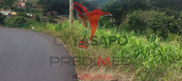  Land in Machico, Portugal No. 89499 9