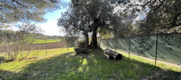 4 bedrooms House in Castiglione del Lago, Italy No. 81027 31