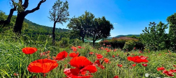 Villa T6 em Grimaud, France N.º 344877 3