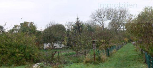 Grundstück in Ostprignitz-Ruppin, Germany, Nr. 63081 2