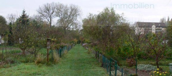 Grundstück in Ostprignitz-Ruppin, Germany, Nr. 63081 3