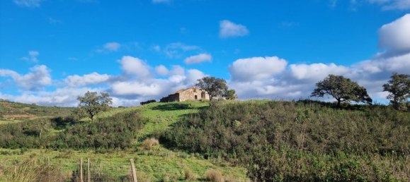 Grundstück in Sao Bartolomeu de Messines, Portugal 803240m², Nr. 10253 9
