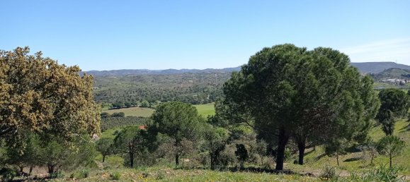 Grundstück in Sao Bartolomeu de Messines, Portugal 803240m², Nr. 10253 13