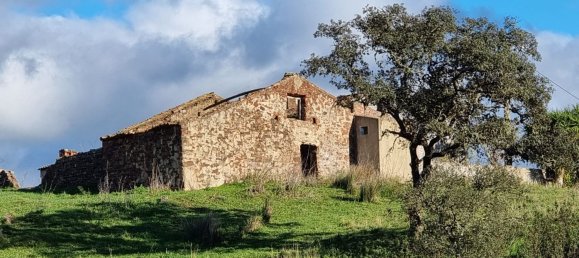 Grundstück in Sao Bartolomeu de Messines, Portugal 803240m², Nr. 10253 15