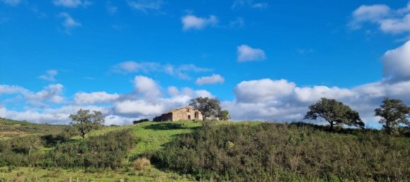 Grundstück in Sao Bartolomeu de Messines, Portugal 803240m², Nr. 10253 27