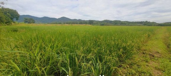  Commercial property in Chiang Rai, Thailand No. 14277 2