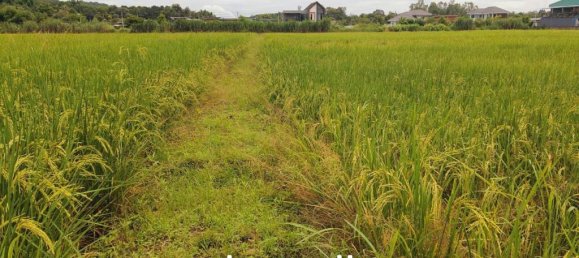  Commercial property in Chiang Rai, Thailand No. 14277 3