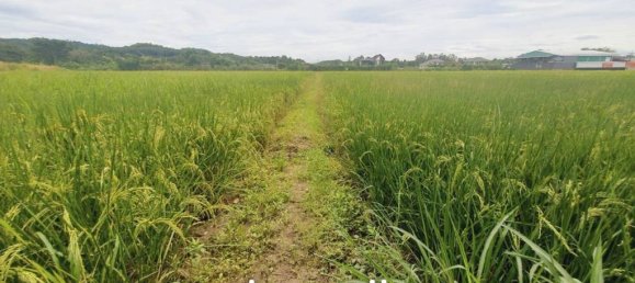  Commercial property in Chiang Rai, Thailand No. 14277 6