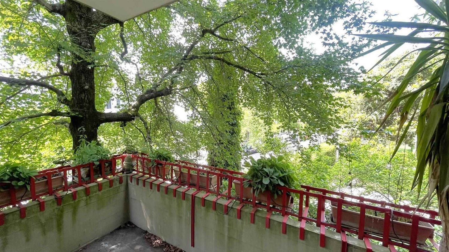 11 bedrooms Apartment in Padua, Italy No. 310989