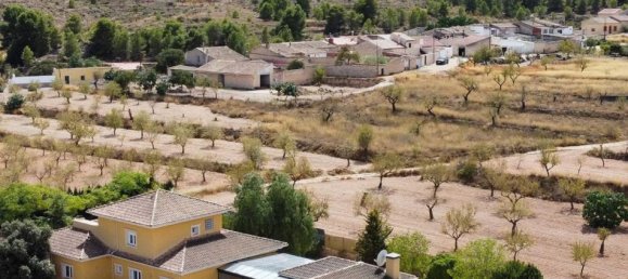 5 chambres Maison à Pinoso, Spain No. 84013 37