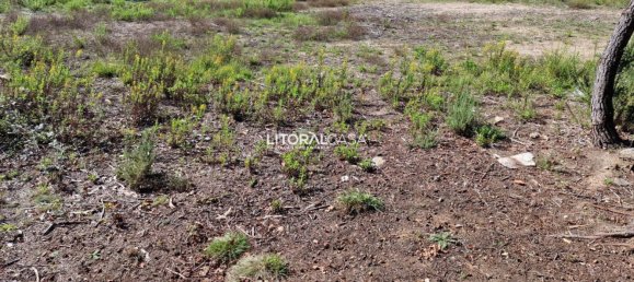  قطعة أرض في Oliveira de Azemeis, Portugal 1560متر مربع رقم 68295 10