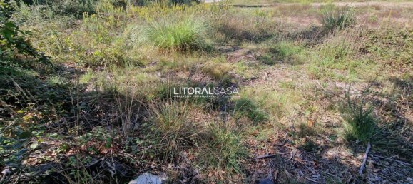  قطعة أرض في Oliveira de Azemeis, Portugal 1560متر مربع رقم 68295 11