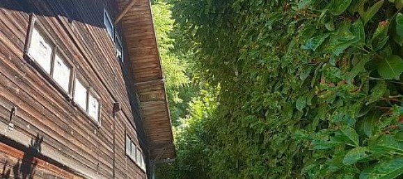 4 Schlafzimmer Haus in Zaessingue, France, Nr. 97300 16