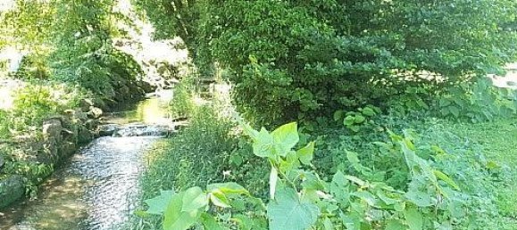 4 Schlafzimmer Haus in Zaessingue, France, Nr. 97300 38