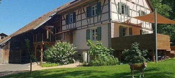 4 Schlafzimmer Haus in Zaessingue, France, Nr. 97300 42