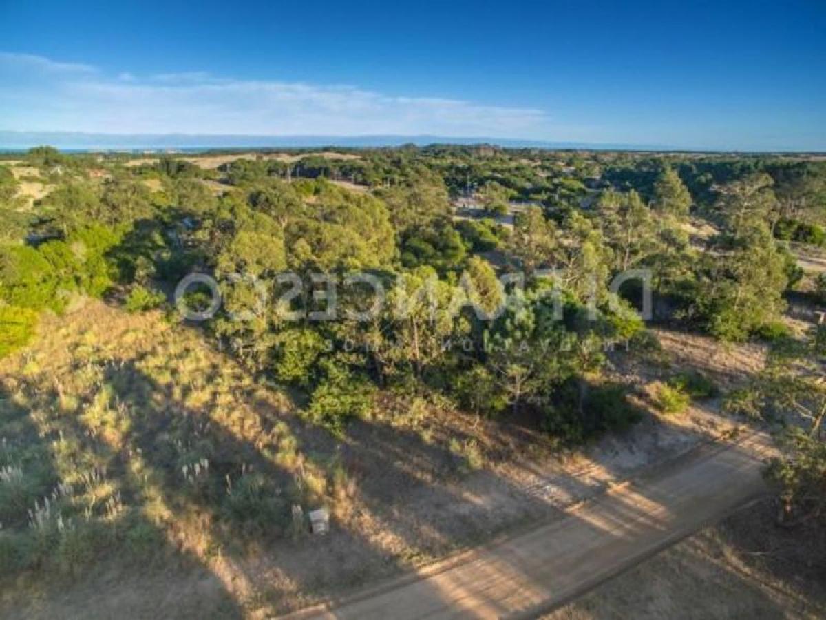  Land in Mar del Plata, Argentina No. 111429