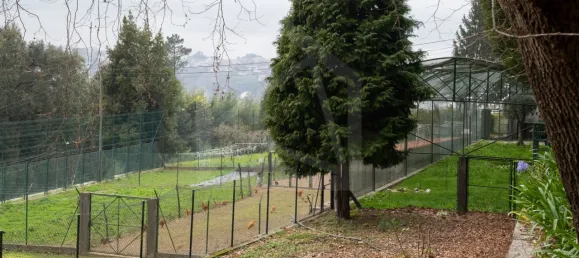 Casa de 12 dormitorios en Oliveira de Azemeis, Portugal No. 72011 41