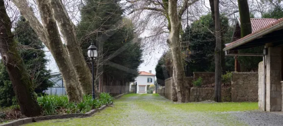 Casa de 12 dormitorios en Oliveira de Azemeis, Portugal No. 72011 39