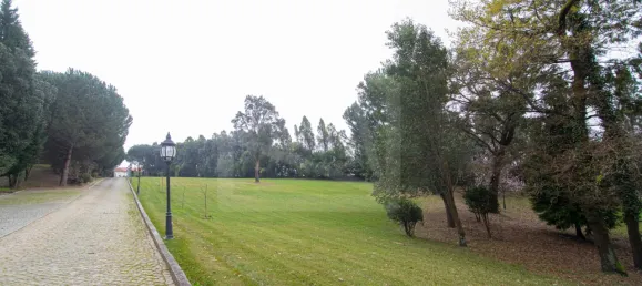 Casa de 12 dormitorios en Oliveira de Azemeis, Portugal No. 72011 36