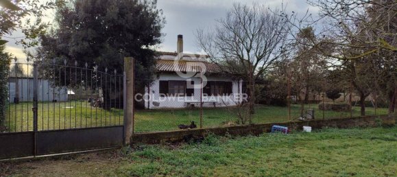 1 bedroom House in Canino, Italy No. 66391 14