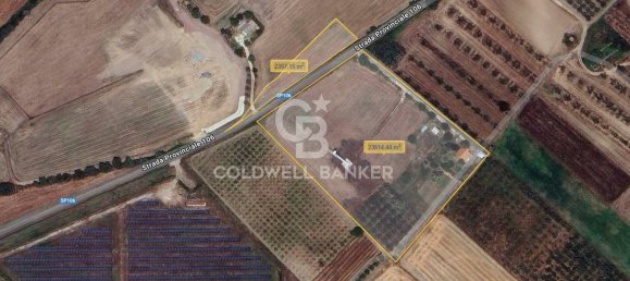 1 bedroom House in Canino, Italy No. 66391 29