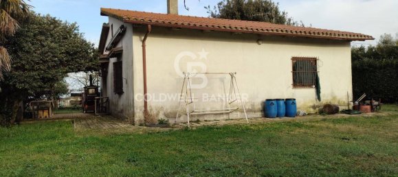 1 bedroom House in Canino, Italy No. 66391 11