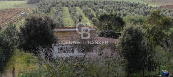 1 bedroom House in Canino, Italy No. 66391 7