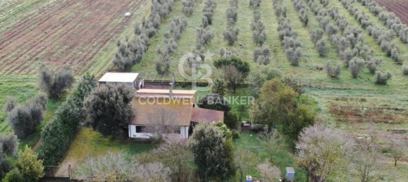 1 bedroom House in Canino, Italy No. 66391 6
