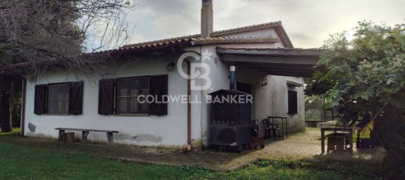 1 bedroom House in Canino, Italy No. 66391 8