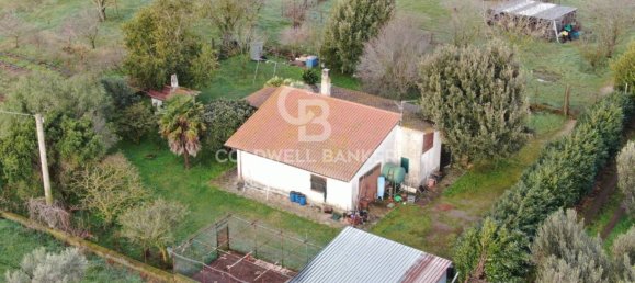 1 bedroom House in Canino, Italy No. 66391 4