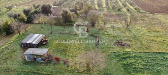 1 bedroom House in Canino, Italy No. 66391 28