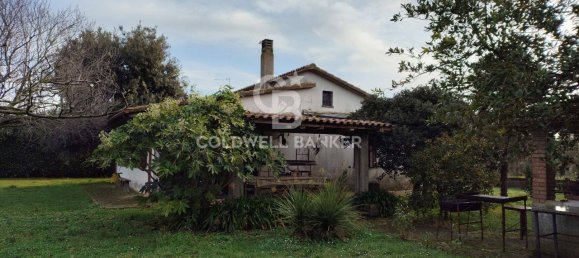 1 bedroom House in Canino, Italy No. 66391 9