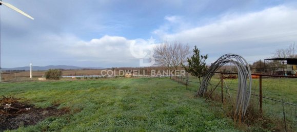 1 bedroom House in Canino, Italy No. 66391 24