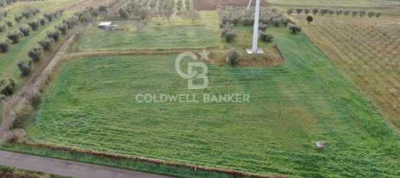 1 bedroom House in Canino, Italy No. 66391 26