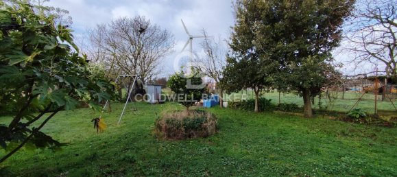 1 bedroom House in Canino, Italy No. 66391 22