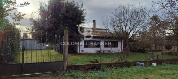 1 bedroom House in Canino, Italy No. 66391 13