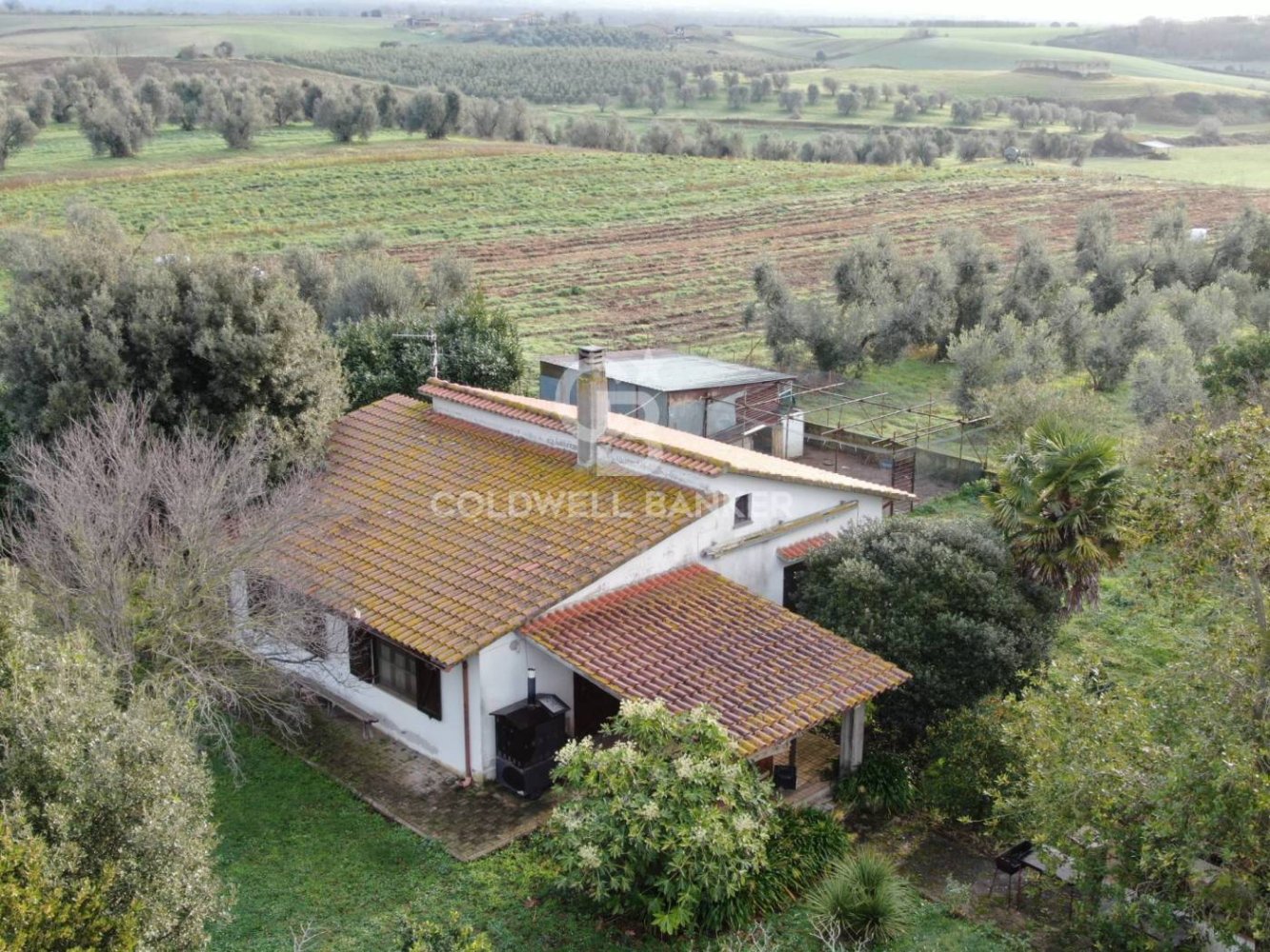 1 bedroom House in Canino, Italy No. 66391