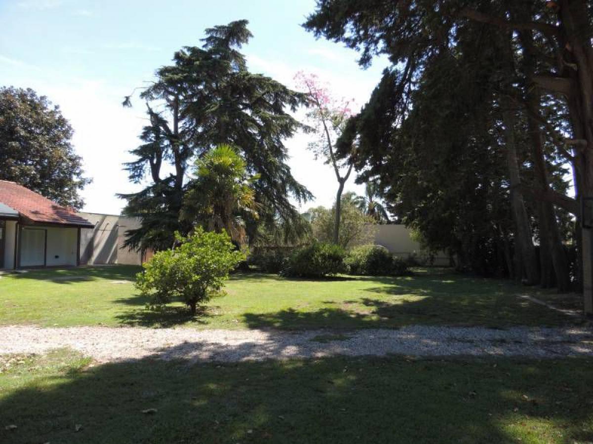 Land in Campo Creado, Argentina No. 32141