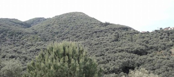 17000m² Hotel in Corfu, Greece No. 6741 7