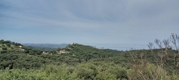 17000m² Hotel in Corfu, Greece No. 6741 4