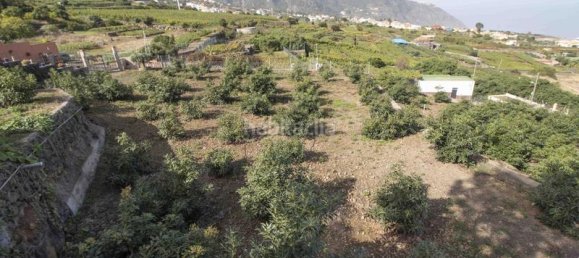 3 bedrooms House in Los Realejos, Spain No. 60091 82