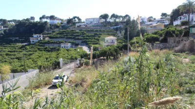  Land in Alzira, Spain No. 97166