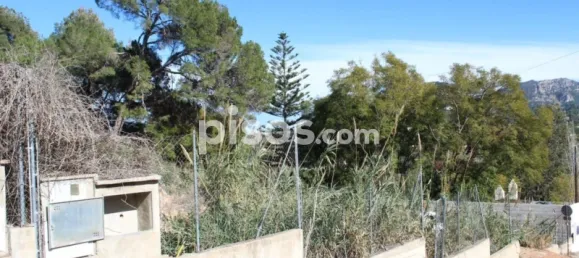  Land in Alzira, Spain No. 97166 7
