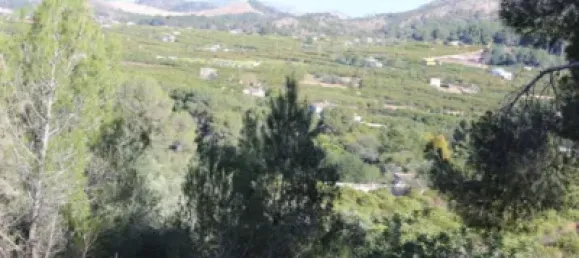  Land in Alzira, Spain No. 97166 8