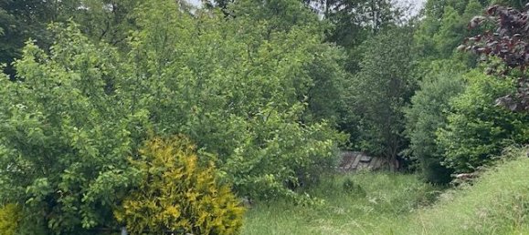 1207m² Land in Vulkaneifel, Germany No. 218162 3