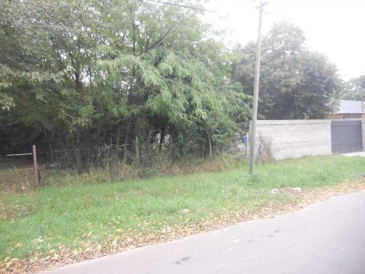 Terreno em Tigre, Argentina N.º 45789