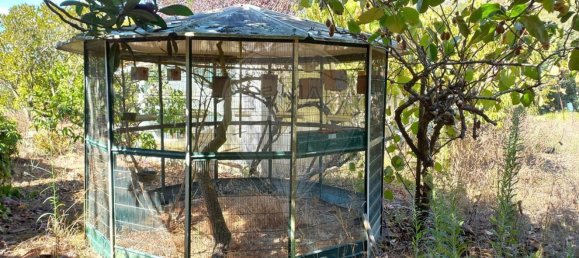 Terrain à Pombal, Portugal 7000m² No. 77274 9